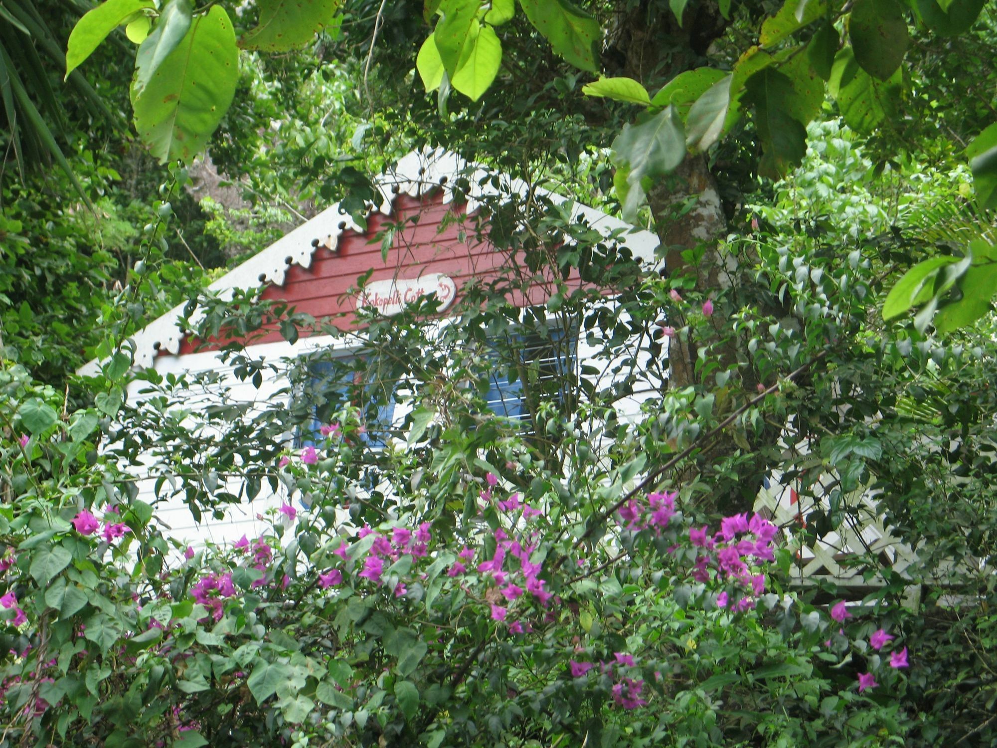 El Momo Cottages Windward Side Ngoại thất bức ảnh